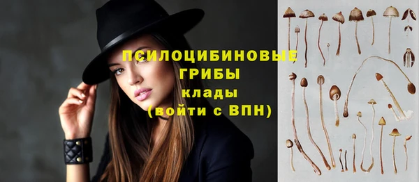 MESCALINE Шали