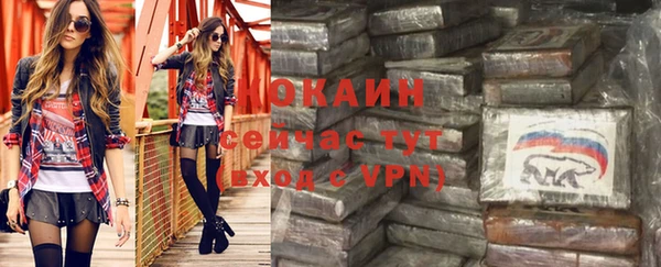 прущие грибы Баксан