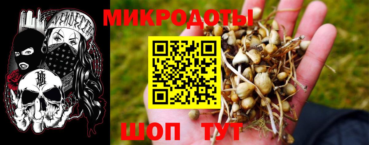 Псилоцибиновые грибы GOLDEN TEACHER  Вход с VPN  Липецк  Псилоцибиновые грибы Cubensis 