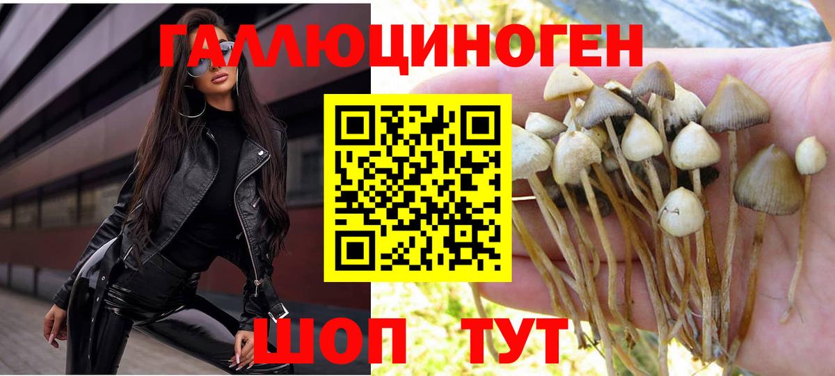 купить  цена  Липецк  Псилоцибиновые грибы мухоморы 