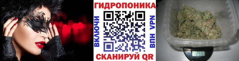 Шишки марихуана MAZAR  цены   Липецк 